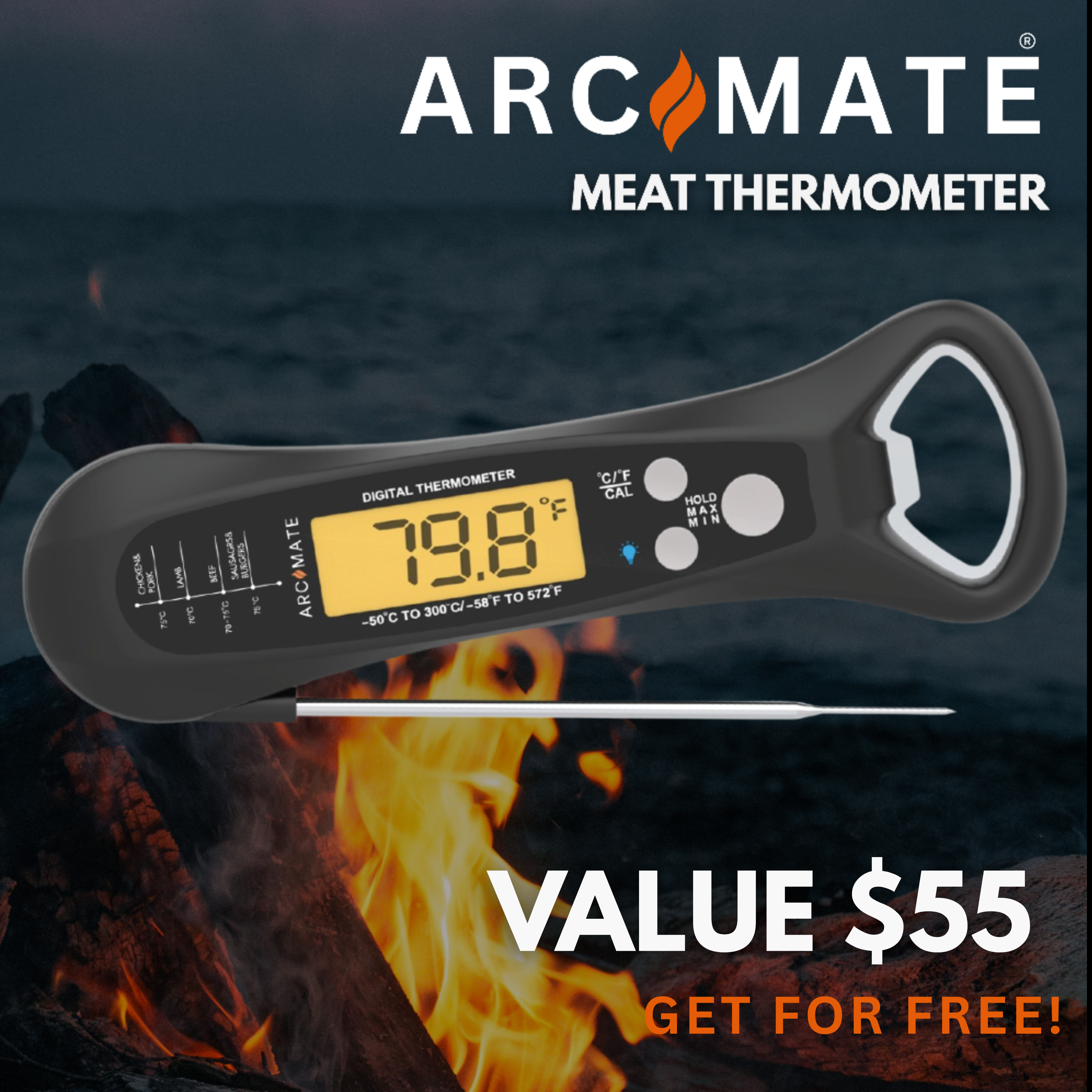 FREE Meat Thermometer VALUED at $55