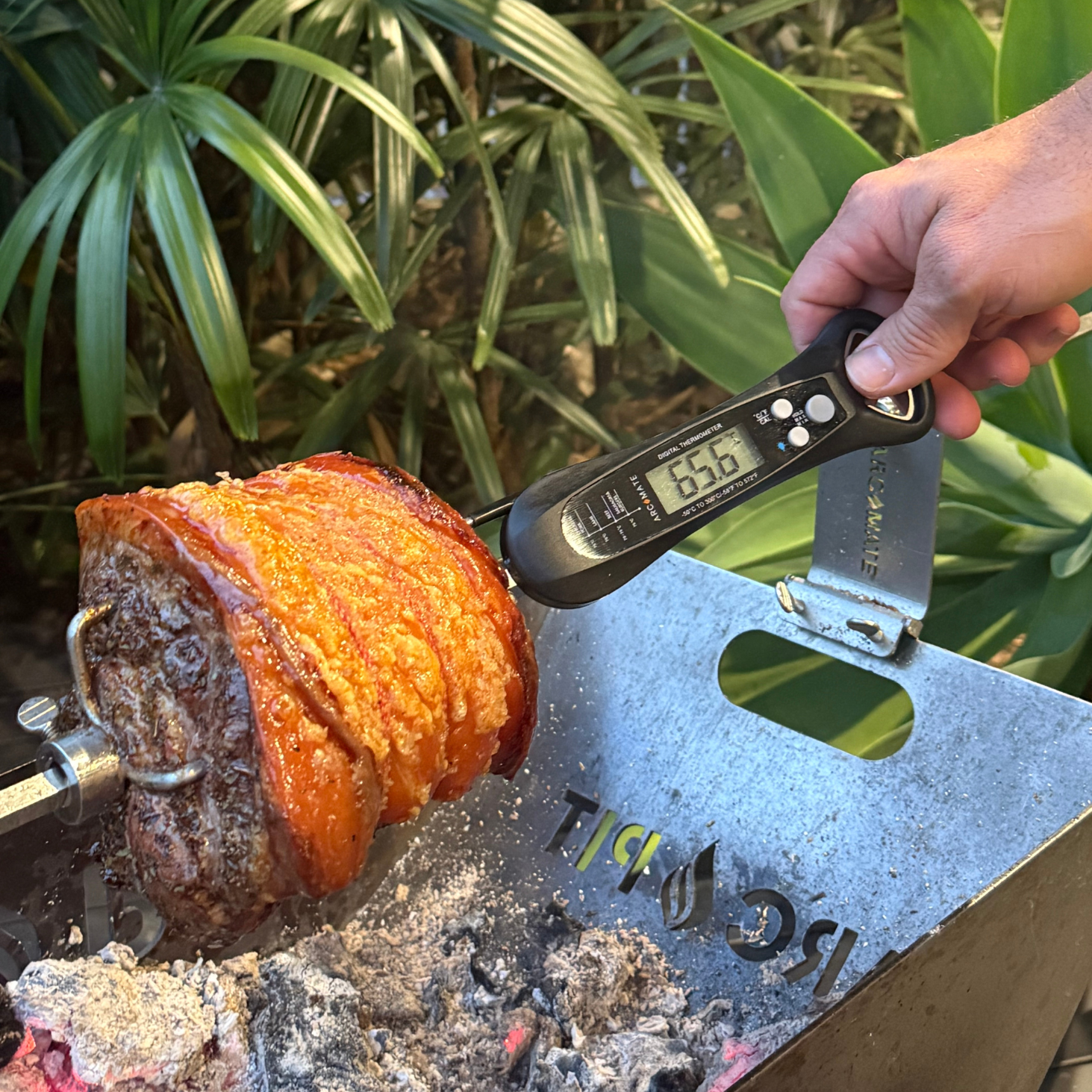 ArcMate Meat Thermometer